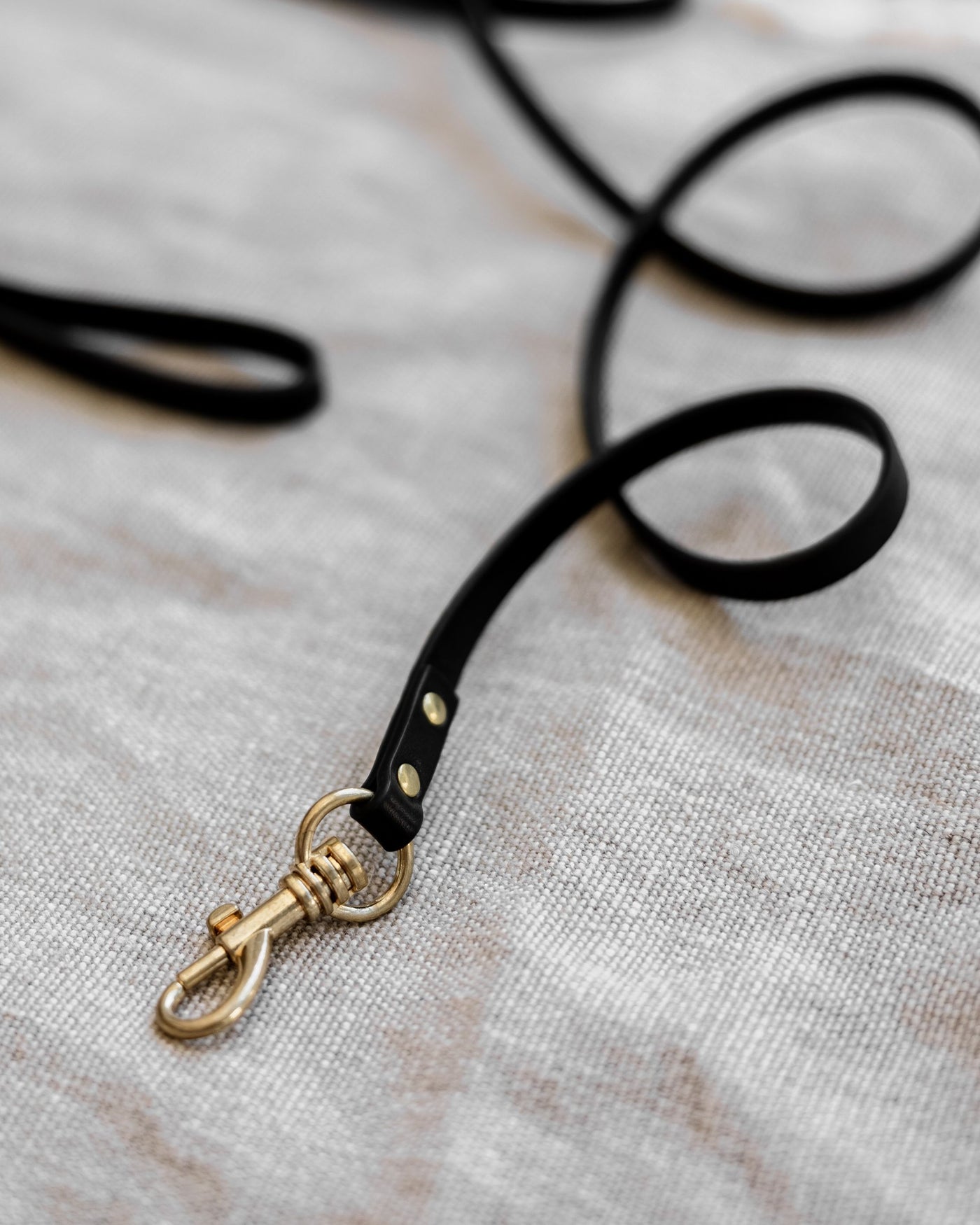 Cannon Black Leather Leash Product Image Detail