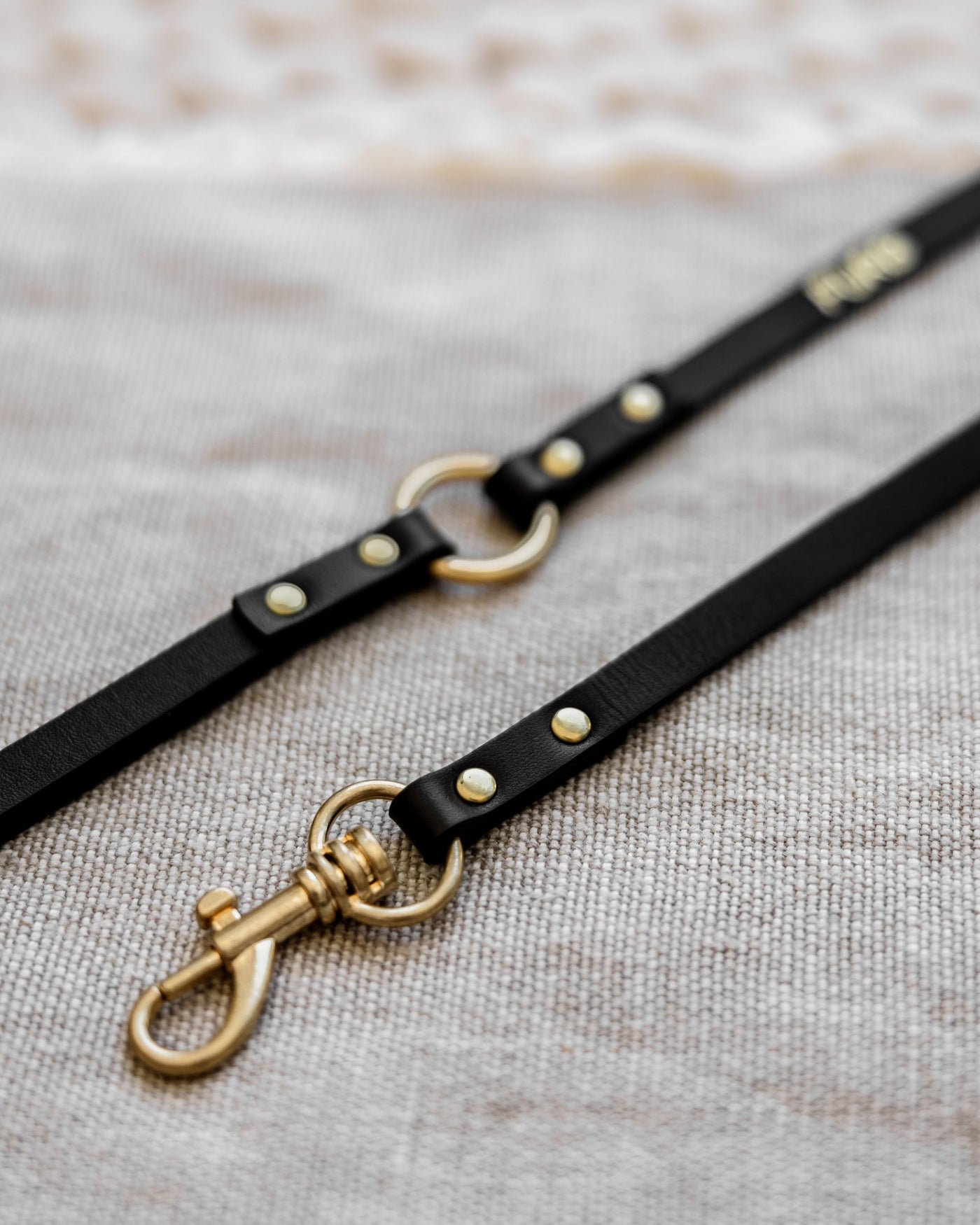 Cannon Black Leather Leash Product Image Detail