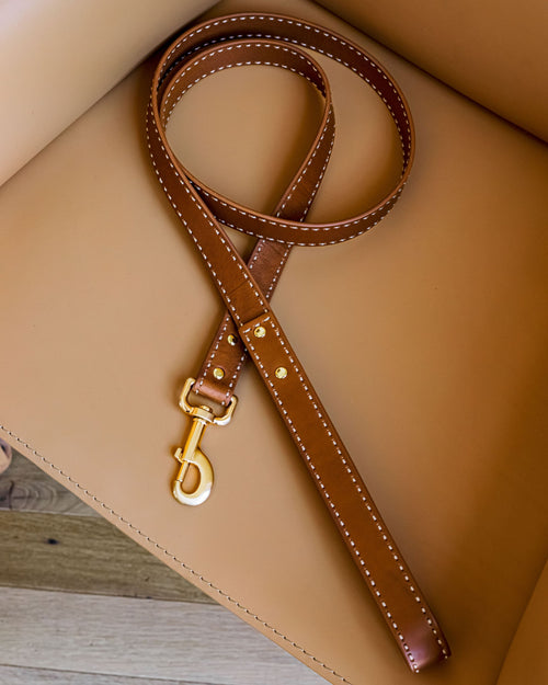 Premium tan leather collar and leash set, designed for small and medium-sized dogs like Cocker Spaniels and Beagles.