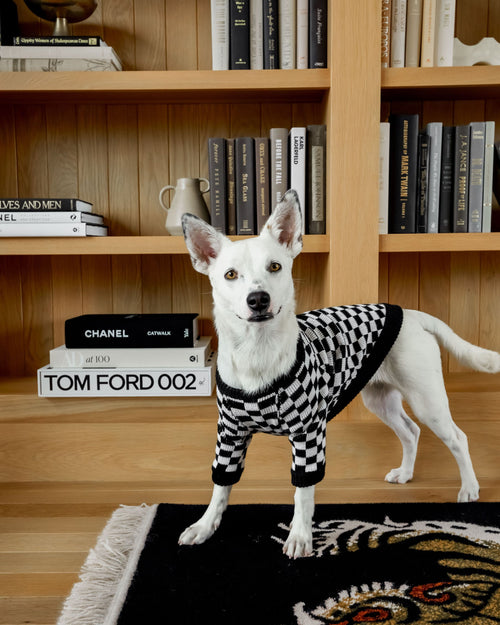 Arlo Black Check Sweater Product Image Detail. french bulldog sweater for dog 