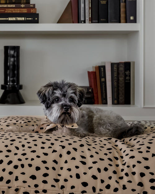 Apollo Dot Print Bed Product Image Detail