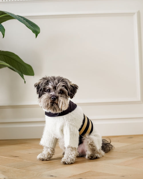 The City Harness in Rue Cambon Product Image Detail