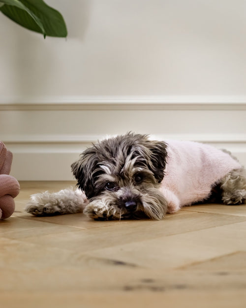 Billie Blush Eyelash Knit Turtleneck Product Image Detail. French bulldog pink shirt.