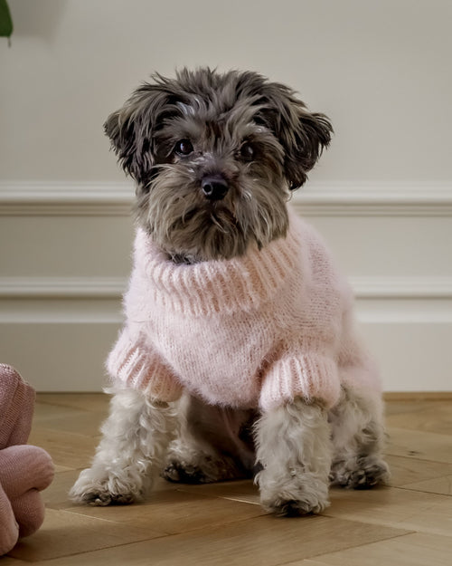 Billie Blush Eyelash Knit Turtleneck Product Image. Chihuahua pink shirt.