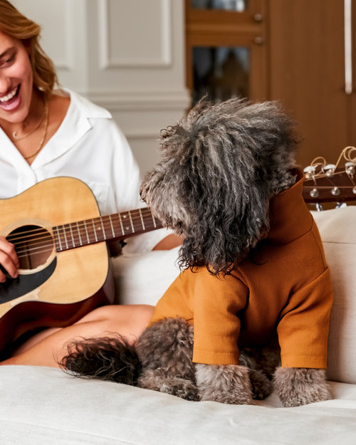 Halifax Goldenrod Ribbed Turtleneck Product Image Detail