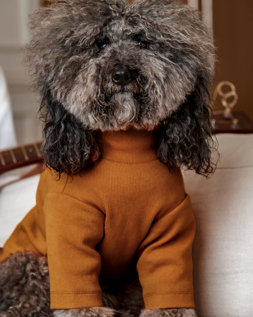 Halifax Goldenrod Ribbed Turtleneck Product Image Detail