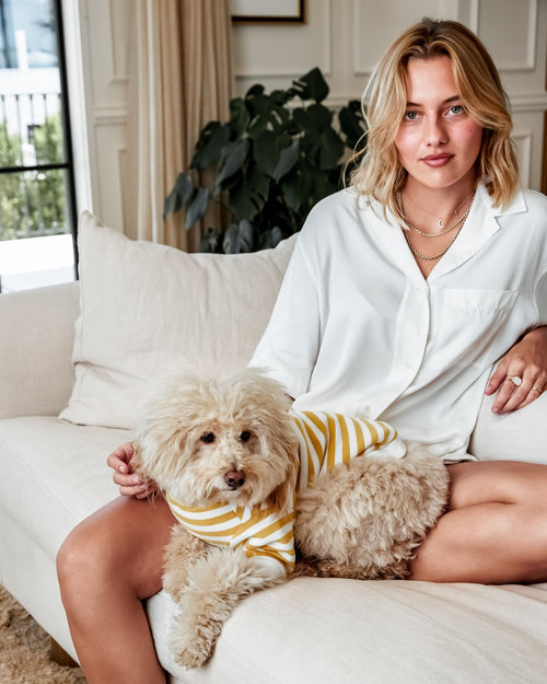 Camden Goldenrod Striped Crewneck Product Image Detail