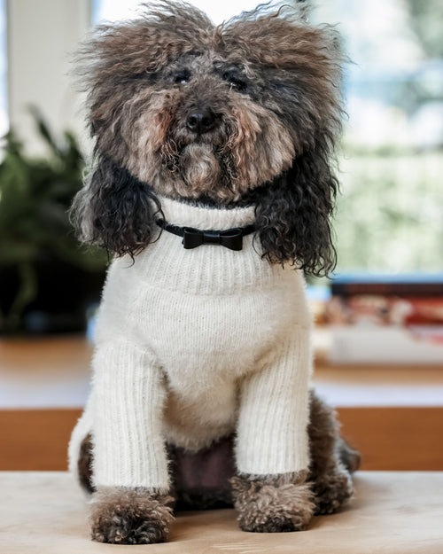 Guestlist Black Bow Tie Collar Product Image Detail