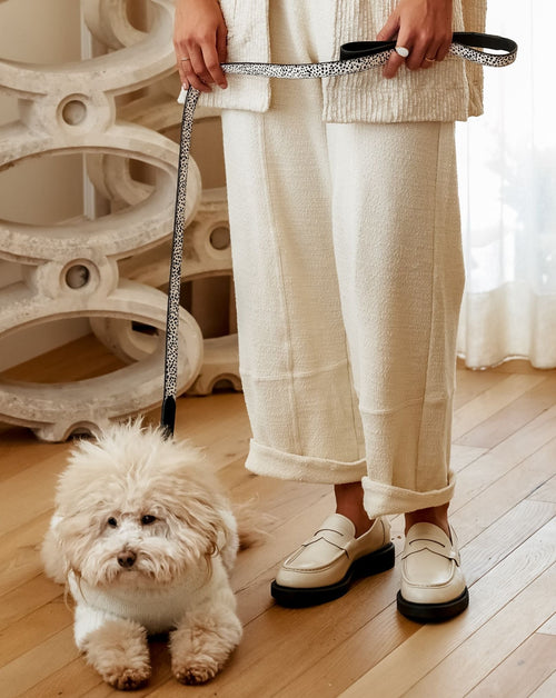 Close-up of pony hair dog leash and tan leather collar set, showing detailed texture and stylish durable design for daily dog walks