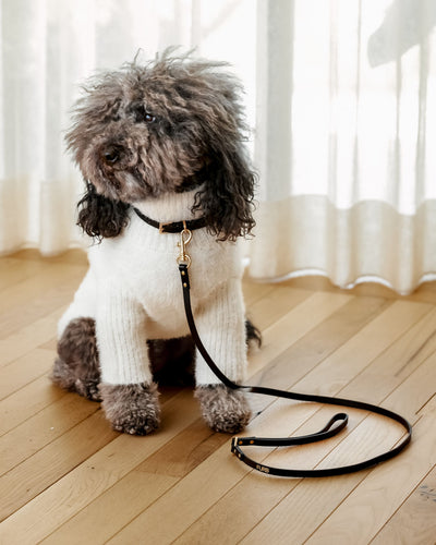 Cannon Black Leather Leash Product Image
