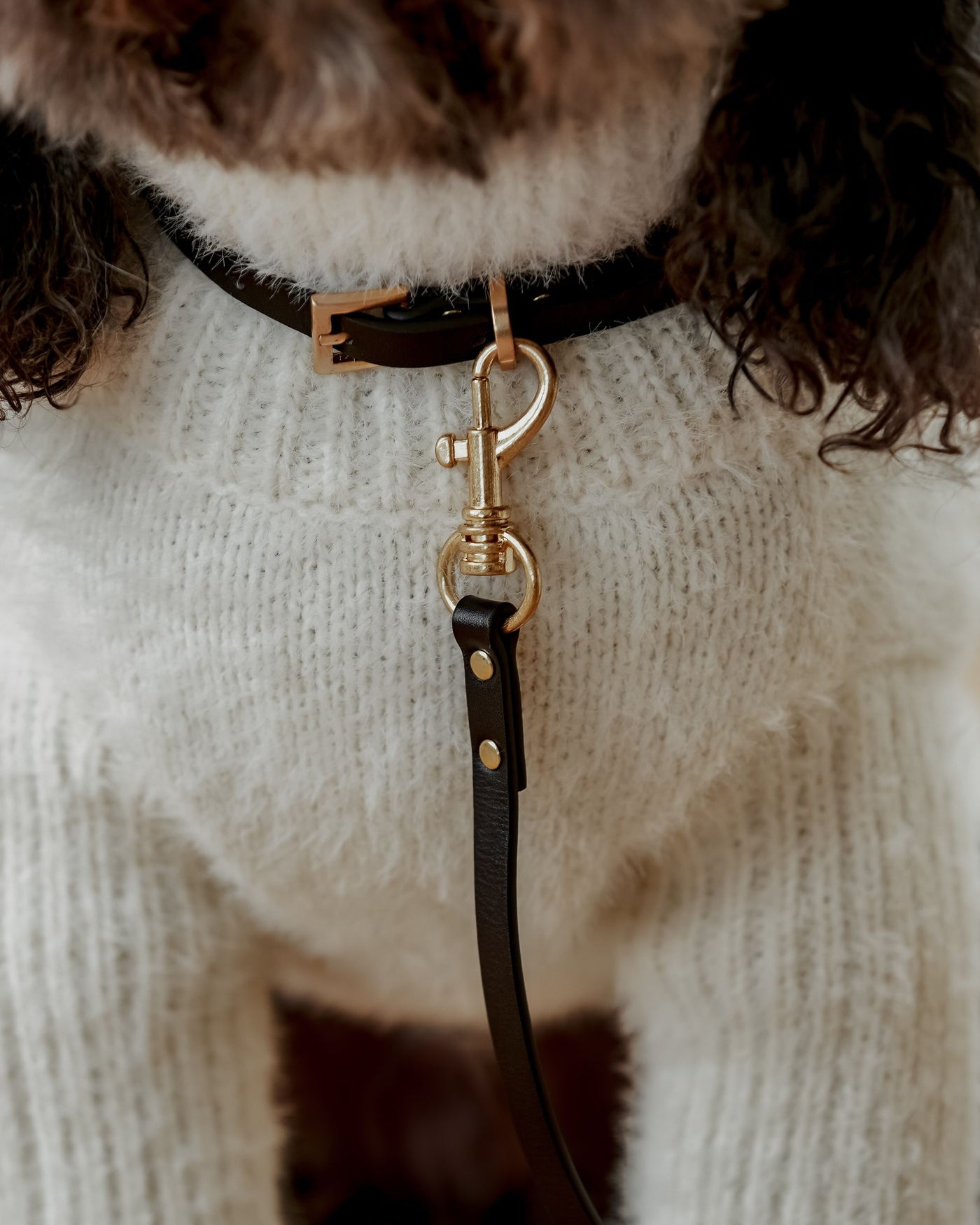 Cannon Black Leather Collar Product Image Detail