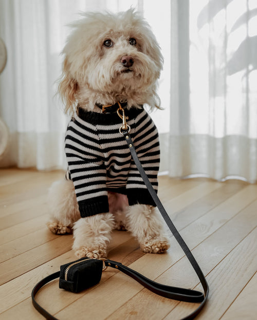 Foggy Dog Waste Bag Holder in Onyx Product Image Detail