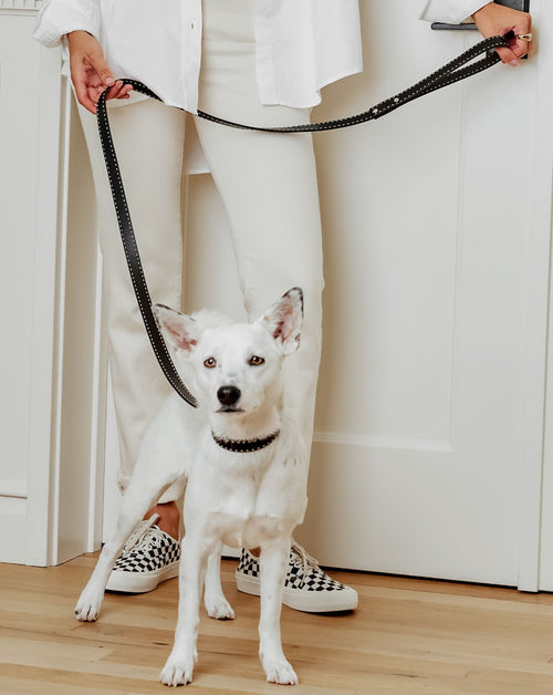 Take the Lead Black Leather Collar Product Image Detail