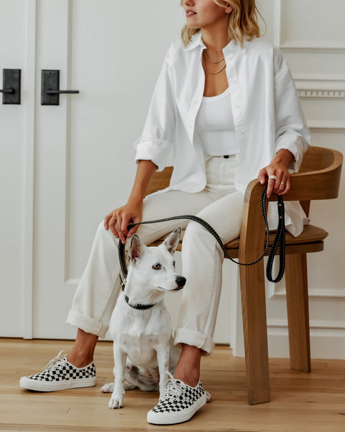 Sophisticated black leather dog collar and leash set, perfect for everyday walks with small and medium-sized dogs.