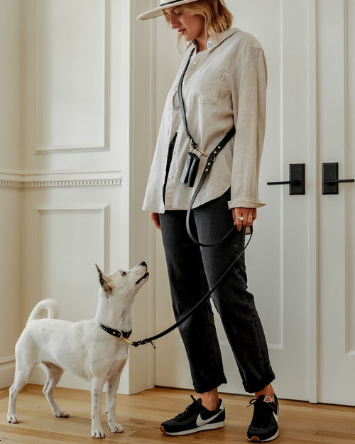 Angled lifestyle image of black leather multi-position dog collar on small dog for walking and leash versatility