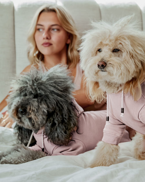 Ziggy Blush Hoodie Product Image Detail. Teacup pink hoodie.