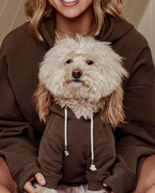 Ziggy Coffee Hoodie Product Image Detail. Great hoodie for beagles 