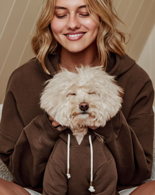 Ziggy Coffee Hoodie Product Image. Great hoodie for poodles 