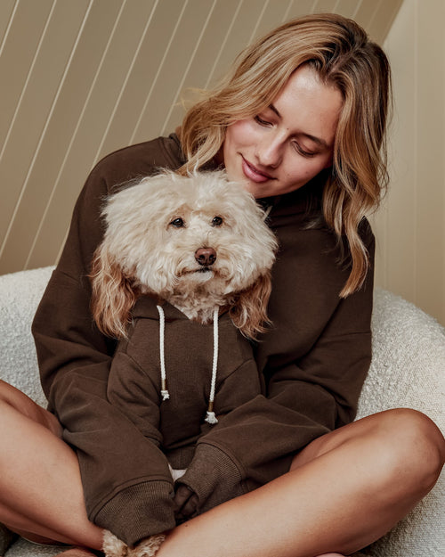 Ziggy Coffee Hoodie Product Image Detail. Great hoodie for french bulldogs 