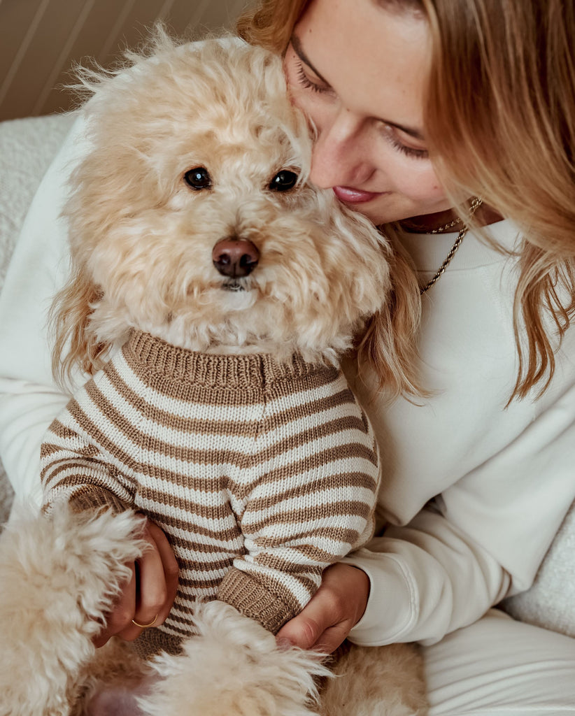 Like Bandit Nutmeg Striped Dog Sweater