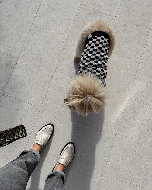 Arlo Black Check Sweater Product Image Detail. xxs chihuahua sweater 