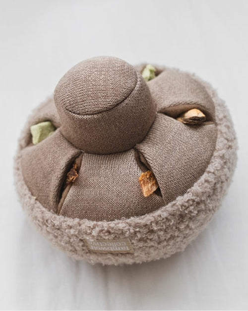 Golden Teacher Snuffle Mushroom Product Image Detail