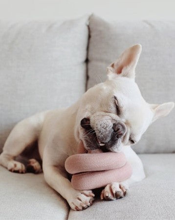 Lola Squeaker Toy in Pink Product Image Detail