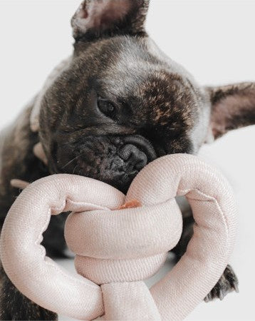 Lola Squeaker Toy in Pink Product Image Detail