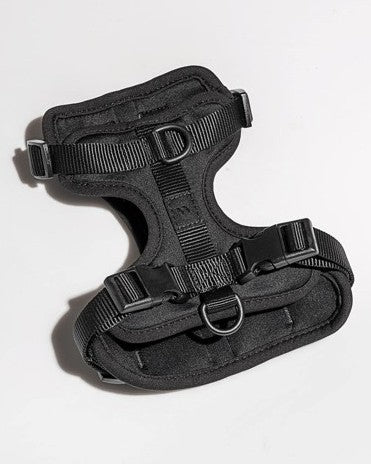 Wild One Black Harness Product Image