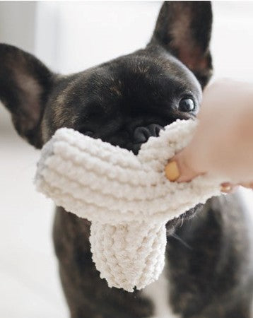 Colby Crinkle Toy in Ivory Product Image Detail