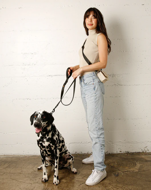 Le Luxe Leash in Neo Product Image Detail