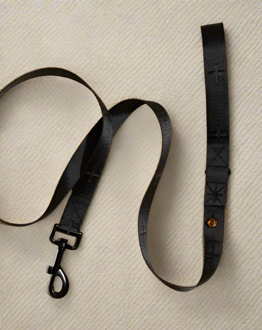 Le Luxe Leash in Neo Product Image