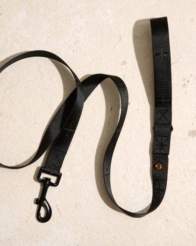 Le Luxe Leash in Neo Product Image